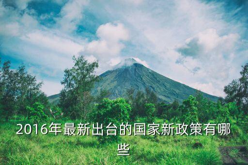 2016年什么新政策，2016年國家有什么新政策