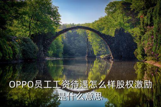 全員持股什么意思，OPPO員工工資待遇怎么樣股權(quán)激勵是什么意思