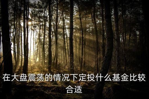 大盤調(diào)整買什么基金好，在大盤震蕩的情況下定投什么基金比較合適