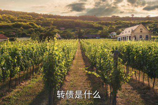 浙能轉(zhuǎn)債是什么，浙能電力轉(zhuǎn)債贖回兌付摘牌是利好還是利空