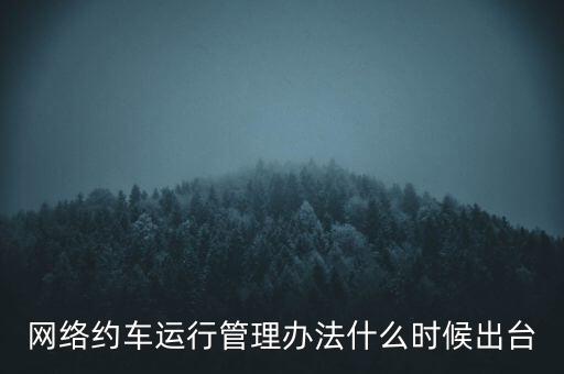 出租車(chē)改革什么時(shí)候公布，國(guó)家對(duì)出租車(chē)有什么政策改革方案