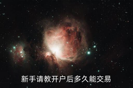 b股開戶什么時候能交易，B股的交易時間