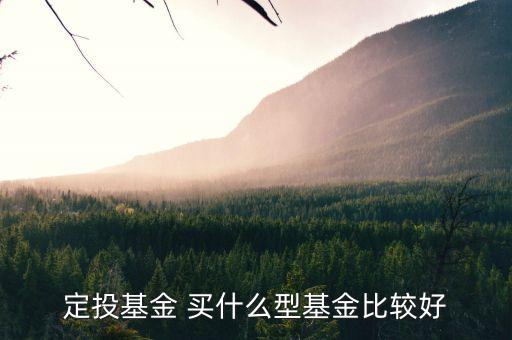 定投基金買(mǎi)什么最好，定投什么基金好