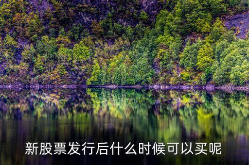 上市股票什么時(shí)候買(mǎi)，股票什么時(shí)候買(mǎi)