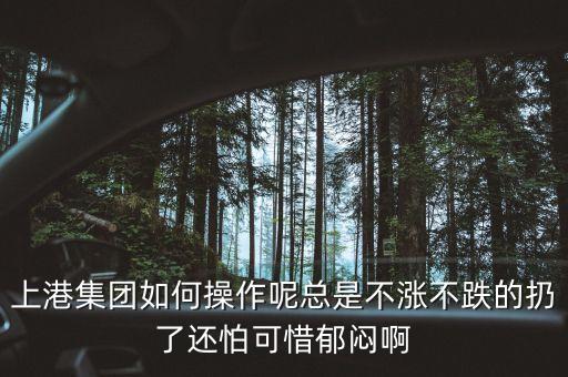 上港集團(tuán)什么級別，上港集團(tuán)振東集裝箱碼頭分公司的介紹