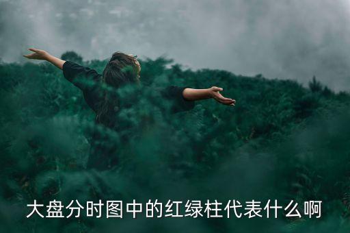 大盤分時(shí)線隨近的柱代表什么，股票分時(shí)圖下面黃藍(lán)白柱各表示什么