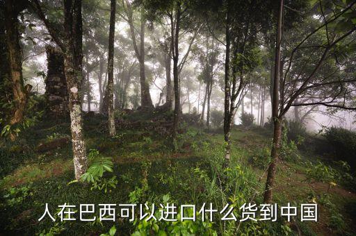 中國從巴西進(jìn)口什么，中國向巴西進(jìn)口哪些東西