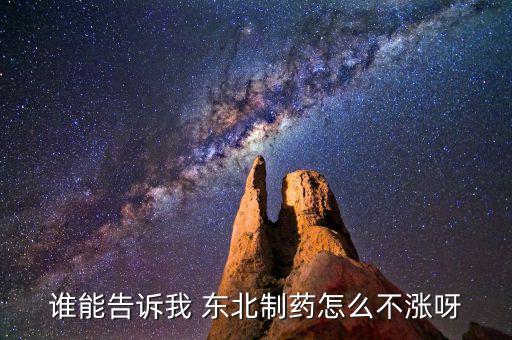東北制藥為什么不漲，002251為什么不漲是不是公司出問(wèn)題了