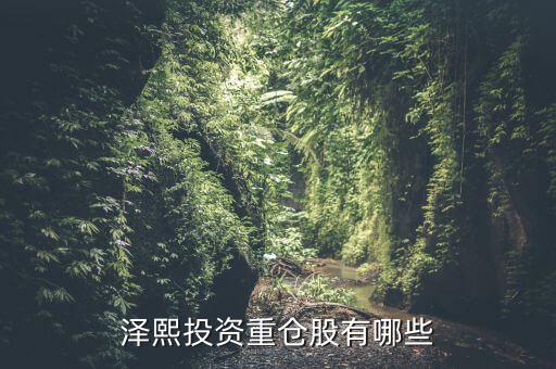 2014年澤熙投資資金介入什么股，請(qǐng)問(wèn)在哪里能看到澤熙投資參與調(diào)研過(guò)哪些股票