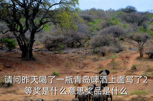 請問昨天喝了一瓶青島啤酒上面寫了2等獎是什么意思獎品是什么