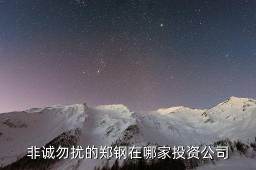 鄭鋼的投資公司是什么，南大鄭鋼投資什么發(fā)的財
