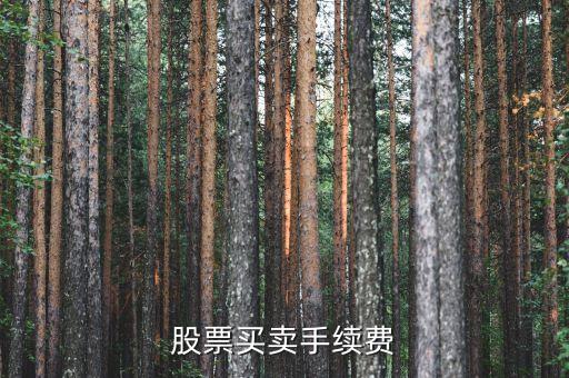 買(mǎi)股票交什么手續(xù)費(fèi)，股票買(mǎi)賣都要交哪些手續(xù)費(fèi)