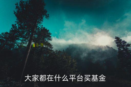 什么網(wǎng)買基金，大家都在什么平臺(tái)買基金