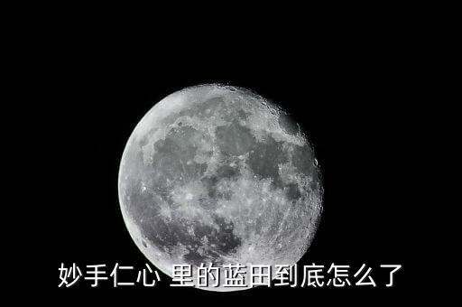 藍(lán)田為什么會(huì)破產(chǎn)，瀘州藍(lán)田濱江路為何停工了