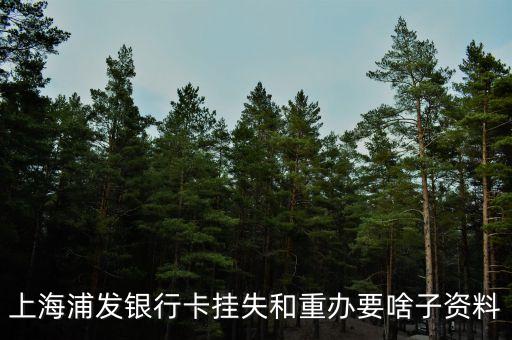 浦發(fā)銀行卡掛失需要什么，上海浦發(fā)銀行卡掛失步驟