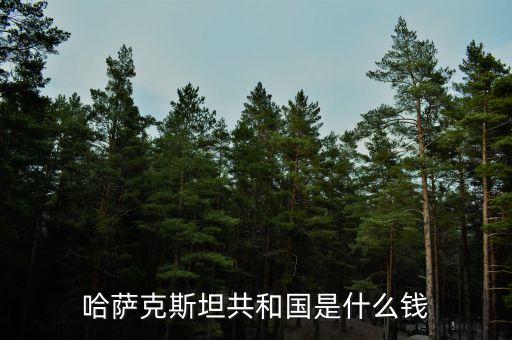 哈薩克斯坦用什么貨幣，哈薩克斯坦的貨幣名稱是什么