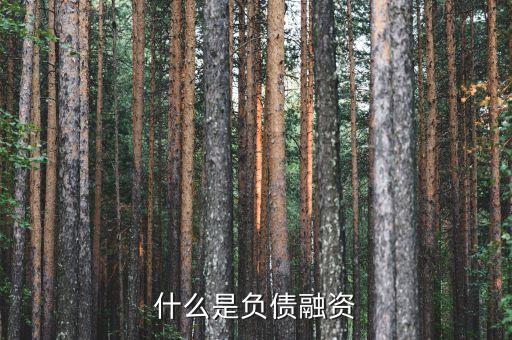 什么是負(fù)債融資，什么是負(fù)債融資