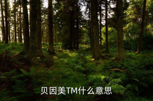貝因美尾盤1多手什么意思，貝因美TM什么意思