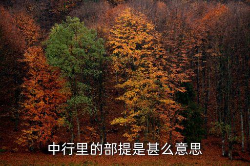 中國銀行部提是什么意思，中國銀行部提是什么意思