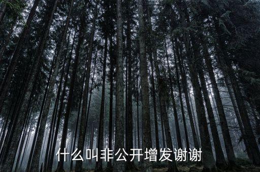 股票非公開增發(fā)是什么意思，st股非公開增發(fā)啥意思