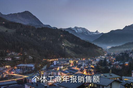 年報銷售總額是什么，全年銷售營業(yè)收入 全年利潤總額 全年虧損額 年末負