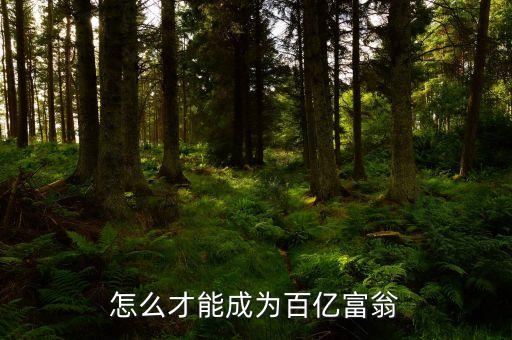 拿什么沖百億，怎么才能成為百億富翁