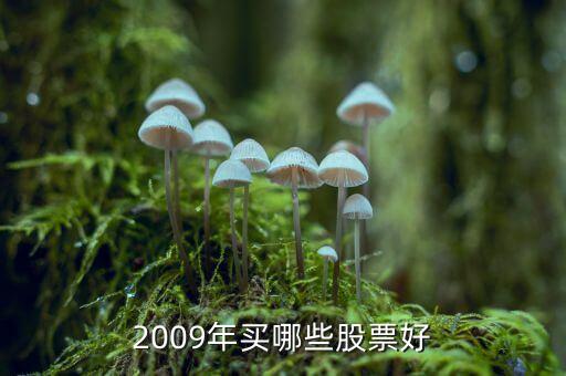 中山公用什么時候分紅，佛山農(nóng)村戶口教師轉(zhuǎn)中山非農(nóng)戶口好不好