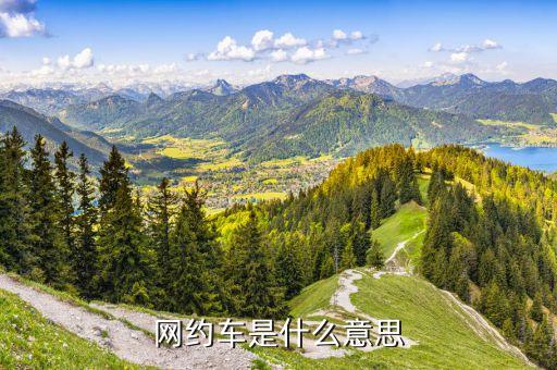 網絡滴滴什么意思，網約車是什么意思