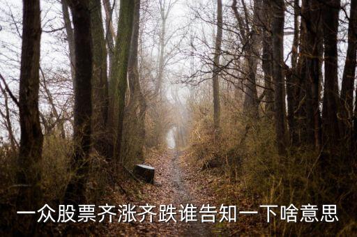 股票量?jī)r(jià)齊跌意味著什么，這幾天大盤量?jī)r(jià)齊跌從技術(shù)角度說(shuō)明什么