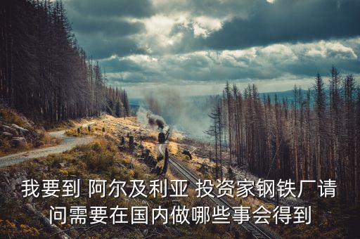 阿爾及爾投資什么好，本人打算去非洲做生意 都需要準(zhǔn)備些什么
