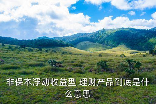 非保本理財(cái)什么意思，理財(cái)產(chǎn)品非保本是什么意思