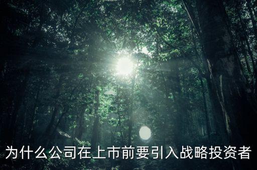 上市為什么要引入風(fēng)投，為什么公司在上市前要引入戰(zhàn)略投資者