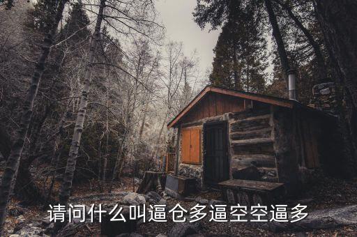 請(qǐng)問什么叫逼倉(cāng)多逼空空逼多