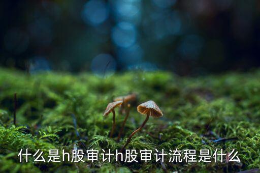 H股審計(jì)是什么意思，香港上市公司的審計(jì)與內(nèi)地審計(jì)有什么區(qū)別