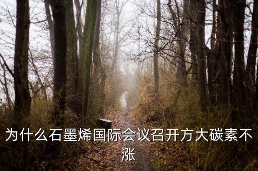 炭素與石墨烯是什么關(guān)系，石墨烯是有碳原子構(gòu)成的單層片狀的新材料可由石墨剝離而成具有
