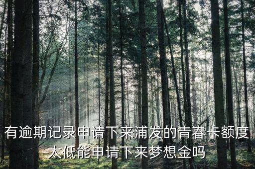 為什么青春卡夢想金要等一個月，浦發(fā)信用卡青春卡的夢想金是開卡就可以申請的還是等一個月