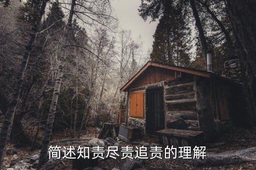 什么是追責(zé)，簡(jiǎn)述知責(zé)盡責(zé)追責(zé)的理解