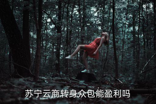 蘇寧眾包什么時(shí)候上線，蘇寧云商轉(zhuǎn)身眾包能盈利嗎