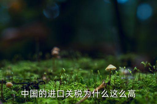 中國(guó)為什么高關(guān)稅，中國(guó)的進(jìn)口車輛關(guān)稅為什么這么高