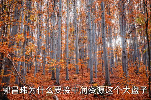 中潤資源為什么停牌，000506中潤資源停牌多久可以復牌