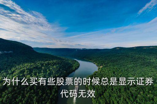 證券代碼無(wú)效什么意思，為什么買有些股票的時(shí)候總是顯示證券代碼無(wú)效