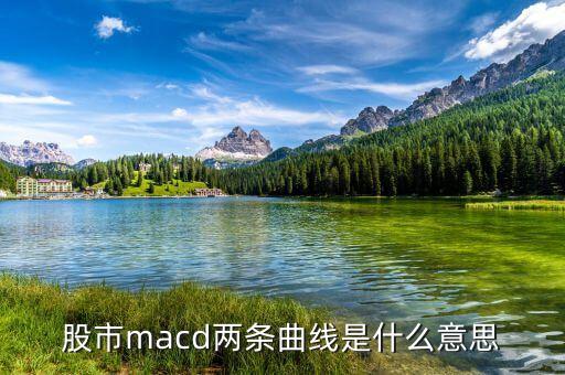 macd兩根曲線是什么意思，股市里MACD的兩條線是什么意思