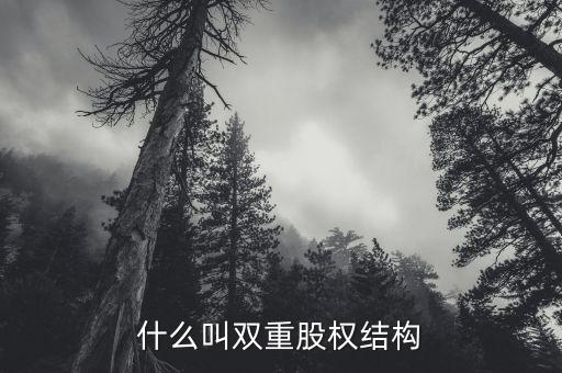 什么是雙層董事會(huì)，家長(zhǎng)不提供學(xué)習(xí)費(fèi)用能否貸款