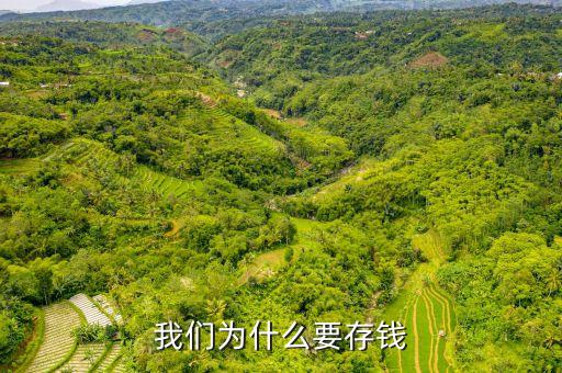 存錢(qián)有什么理由，我們?yōu)槭裁匆驽X(qián)