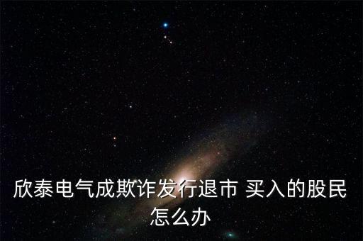 欣泰電氣成立什么公司，丹東欣泰電氣股份有限公司