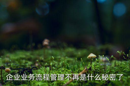流程管理的亂象是什么，企業(yè)業(yè)務(wù)流程管理不再是什么秘密了
