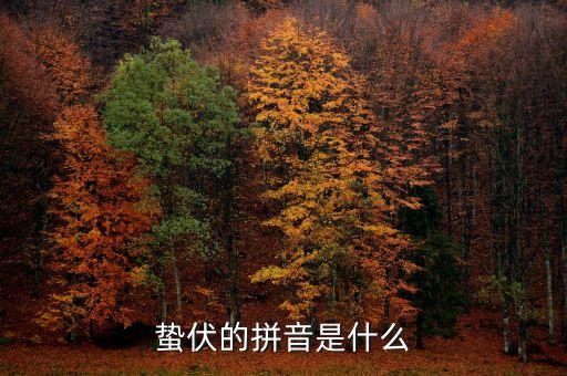 人的蟄伏期是什么，寂寂人定初中的人定是什么時候用天干地支中的回答相當
