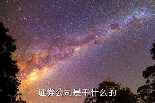 正規(guī)的證券公司是做什么的，證券公司干什么的