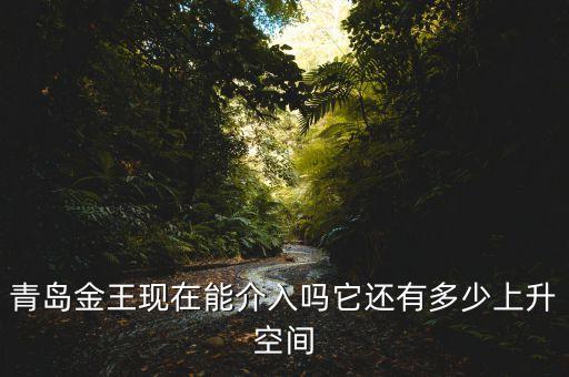 2015青島金王什么概念，青島金王現(xiàn)在能介入嗎它還有多少上升空間