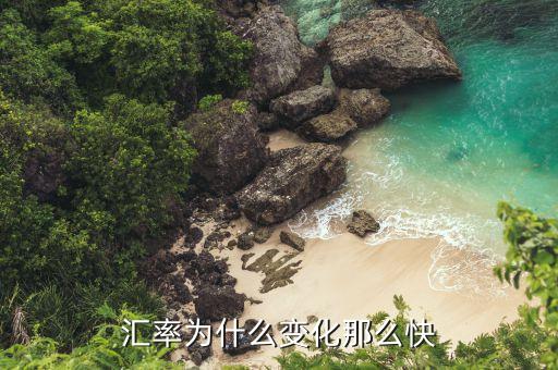 匯率為什么變化，為什么匯率會演變